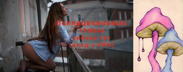 мдпв Балабаново
