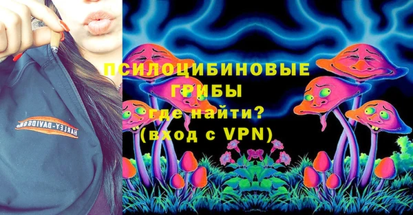 крисы Новозыбков