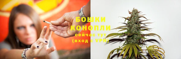 гидра Новокубанск