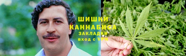spice Новодвинск