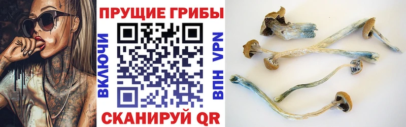 Псилоцибиновые грибы MAGIC MUSHROOMS  Муравленко 